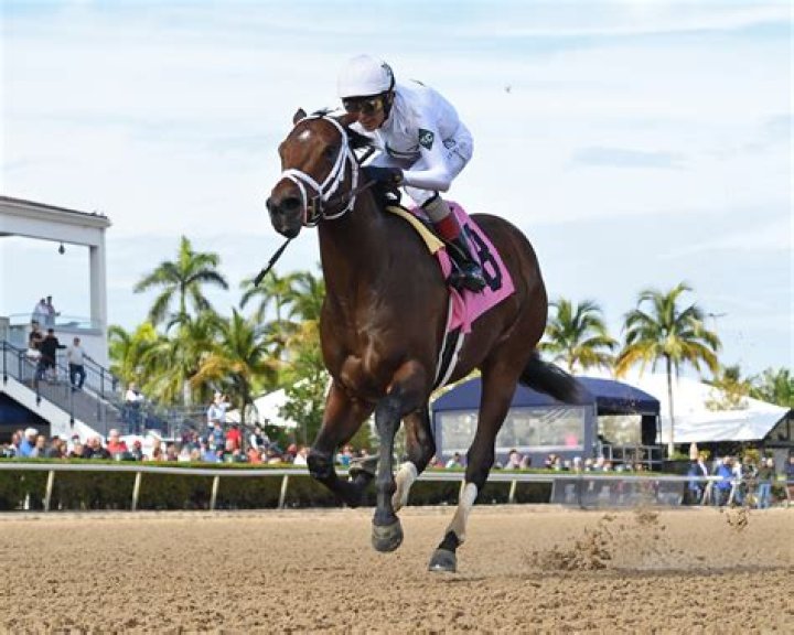 
An Overview of Horse Trainer Todd Pletcher’s Net Worth
