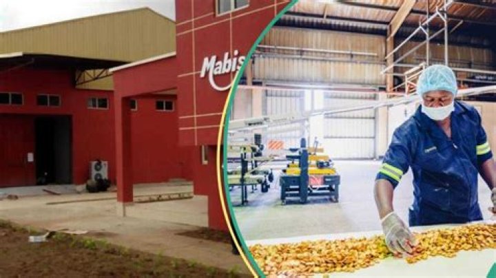 Biscuit Company, MABISCO Puts Up Factory For Sale, 2yrs After Workers Protest of N1k Daily Pay