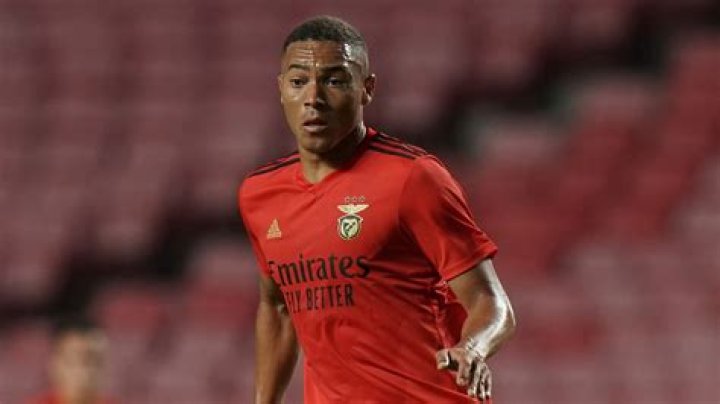 Carlos Vinícius, Brazilian striker, joins Tottenham on loan from Benfica