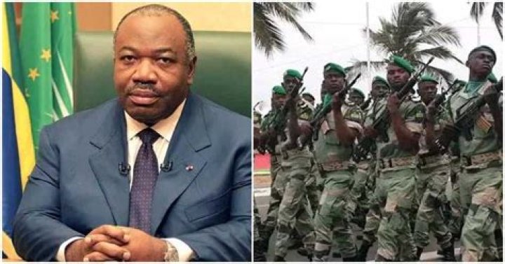 Coup in Africa: 5 Top Facts You Should Know About Gabon as Army Takes Over