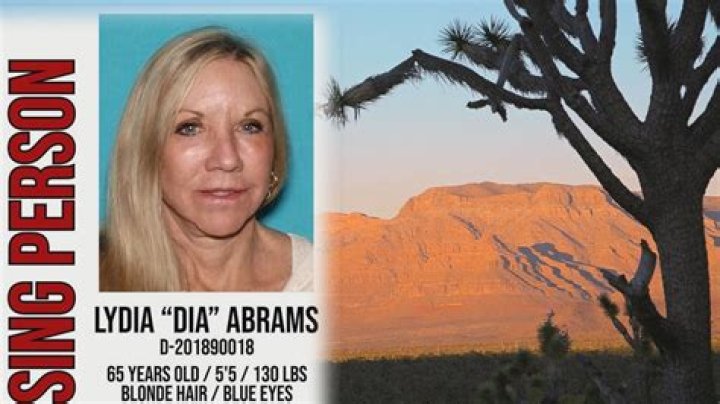 Dia Abrams Missing Case Updates | Is Dia found or not? | Family, Fiance, Son and Wiki