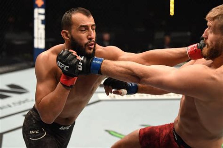 Dominick Reyes Biography, Facts & Life Story