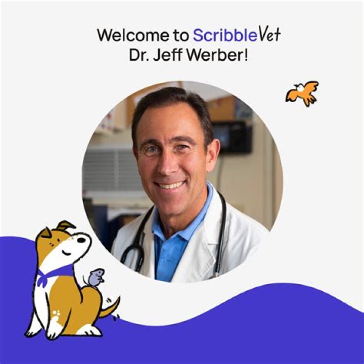 Dr Jeff Werber Vet, Bio, Wiki, Age, Height, Wife, Salary, and Net Worth