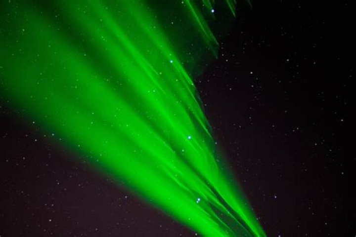 Green Light 
