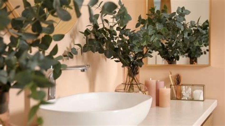 How to Make Your Bathroom Smell Good: 7 Surprising Ways