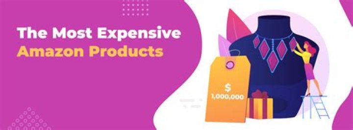 Most expensive thing on Amazon: top 10 priciest items on the website