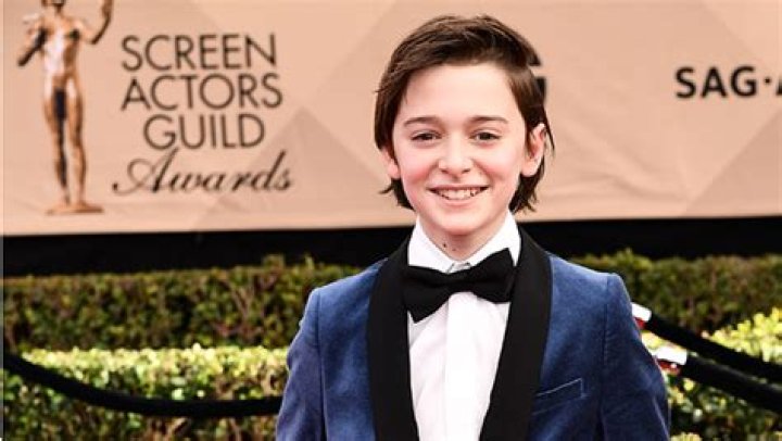 Noah Schnapp Celebrity Profile – Hollywood Life