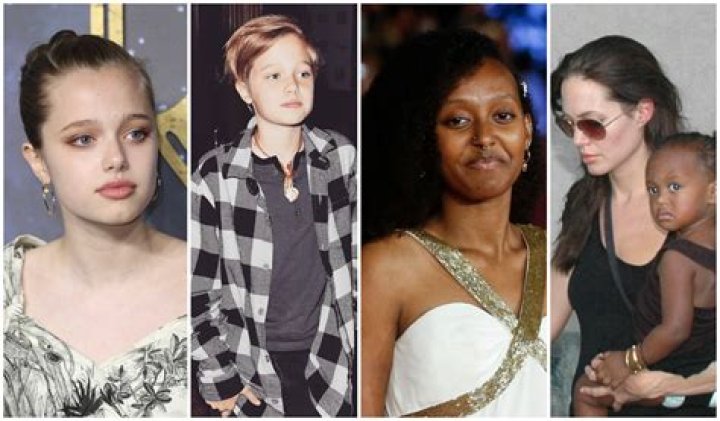 Reason In Brad Pitt Child Custody Case – Hollywood Life