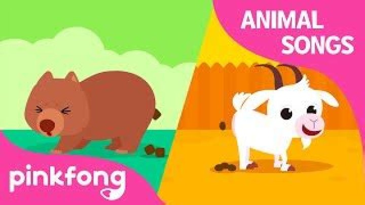 Songs About Poop | Popnable