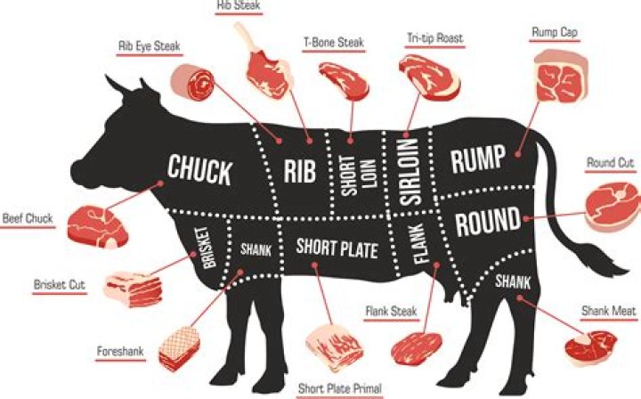 What's Beef by Shredgang Mone from USA