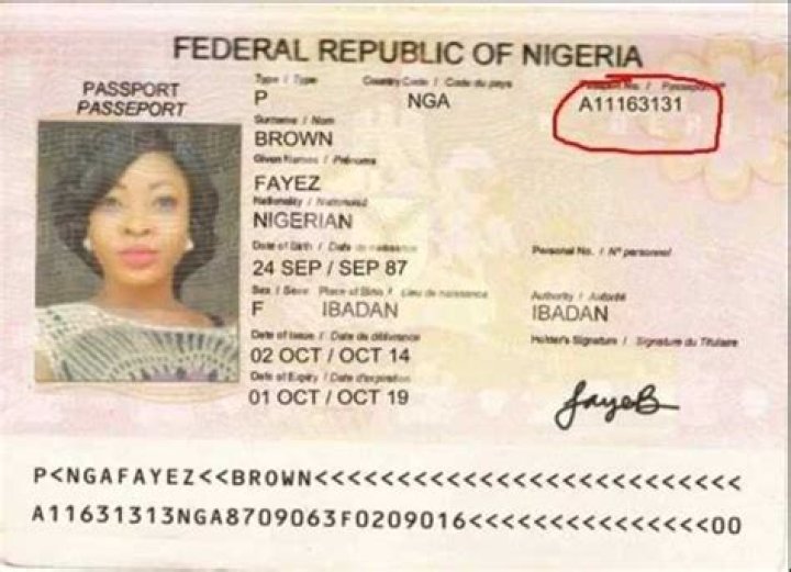 Where is Nigerian passport book number located?