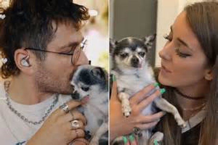 Who is Julien Solomita Dating Now?